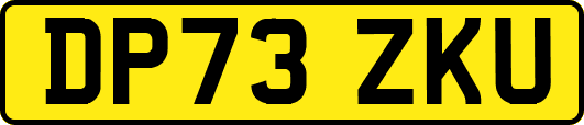 DP73ZKU