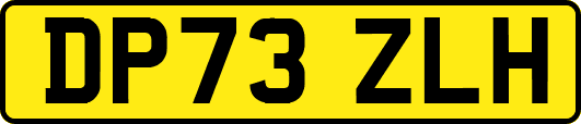 DP73ZLH