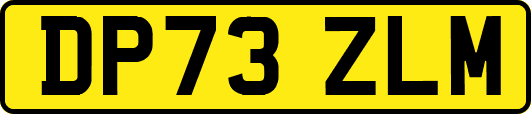 DP73ZLM