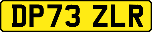 DP73ZLR