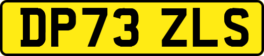 DP73ZLS