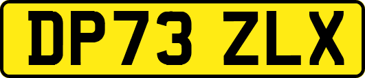 DP73ZLX