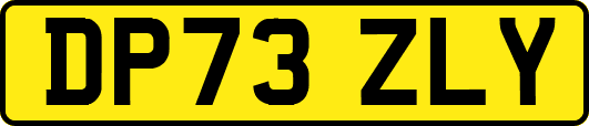 DP73ZLY
