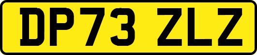 DP73ZLZ