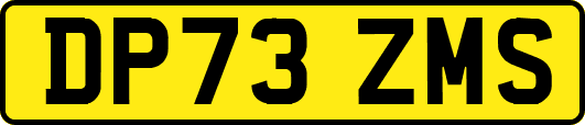 DP73ZMS