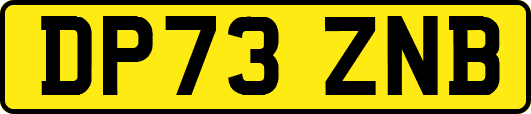 DP73ZNB