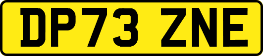 DP73ZNE