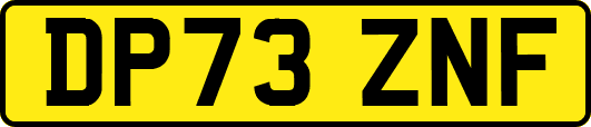 DP73ZNF