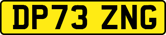 DP73ZNG