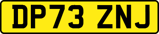 DP73ZNJ