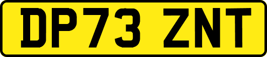 DP73ZNT