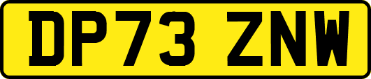 DP73ZNW