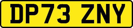 DP73ZNY