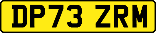 DP73ZRM