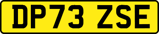 DP73ZSE