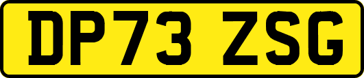 DP73ZSG