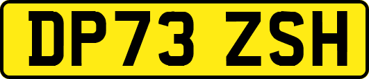DP73ZSH