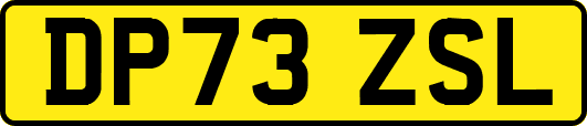 DP73ZSL