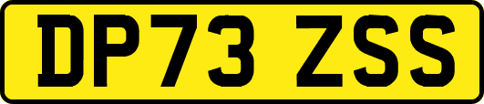 DP73ZSS