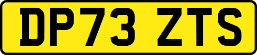 DP73ZTS