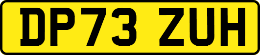 DP73ZUH