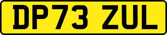 DP73ZUL