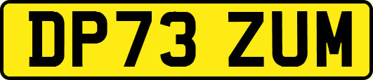 DP73ZUM