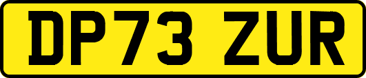DP73ZUR