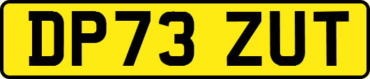 DP73ZUT