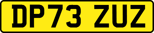 DP73ZUZ