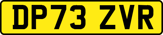 DP73ZVR