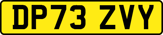 DP73ZVY