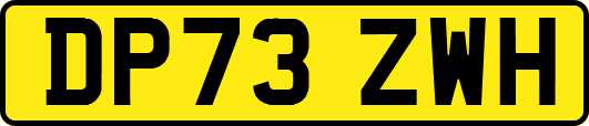 DP73ZWH