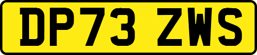 DP73ZWS