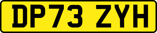 DP73ZYH
