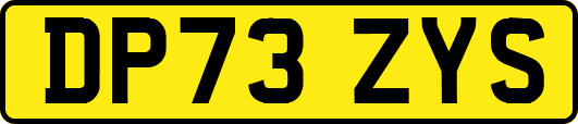 DP73ZYS
