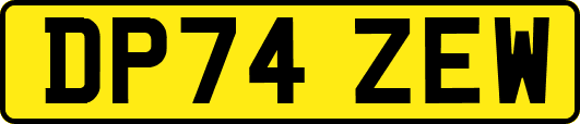 DP74ZEW