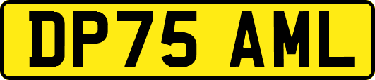 DP75AML