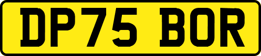 DP75BOR