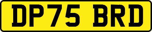 DP75BRD