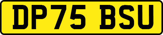 DP75BSU
