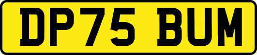 DP75BUM