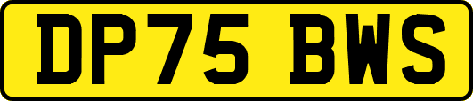 DP75BWS