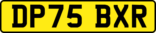 DP75BXR
