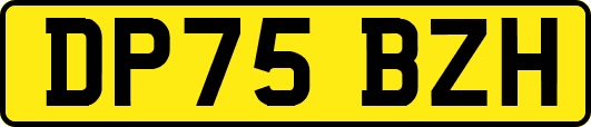 DP75BZH