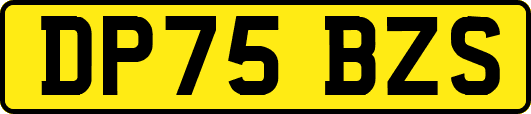 DP75BZS