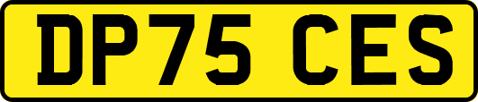 DP75CES