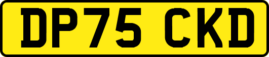 DP75CKD