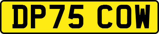 DP75COW