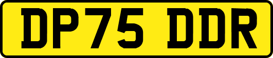 DP75DDR